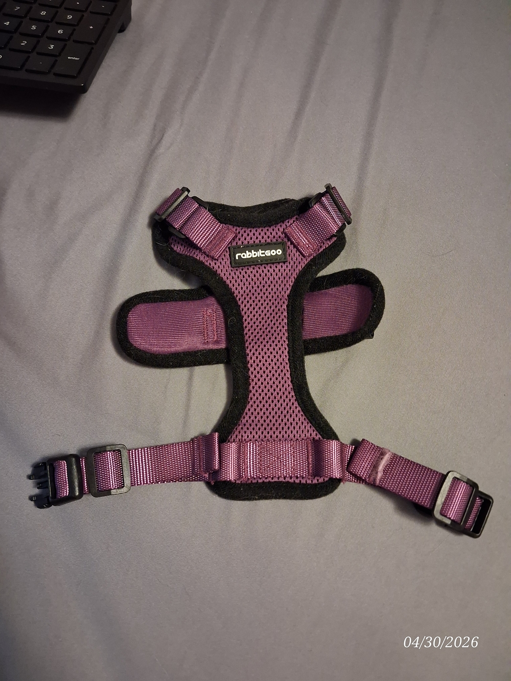 rabbitgoo Purple Padded Cat Harness - Adjustable Comfort Fit